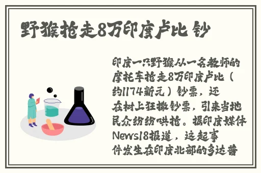 四川风流老太大BBBBBB